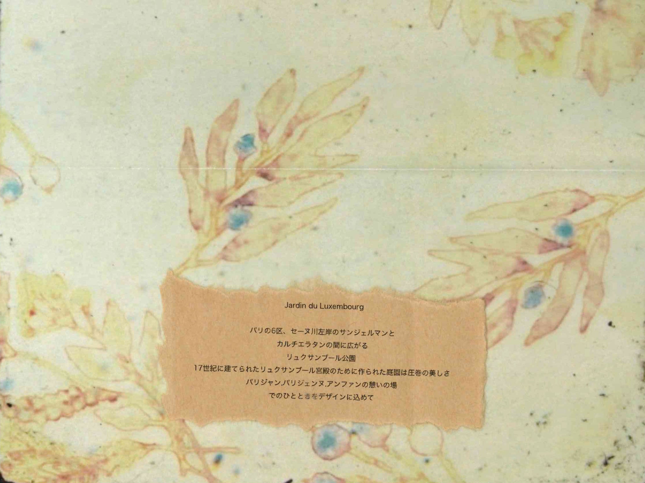 TOWAVASE 2022SS受注会開催！