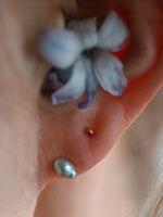 Load image into Gallery viewer, Akoya Pearl Asteroid Earrings [aco90]

