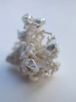 Load image into Gallery viewer, Akoya Pearl Asteroid Earrings [aco90]
