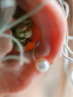 Load image into Gallery viewer, acoya Ear Cuff Wing [aco80]
