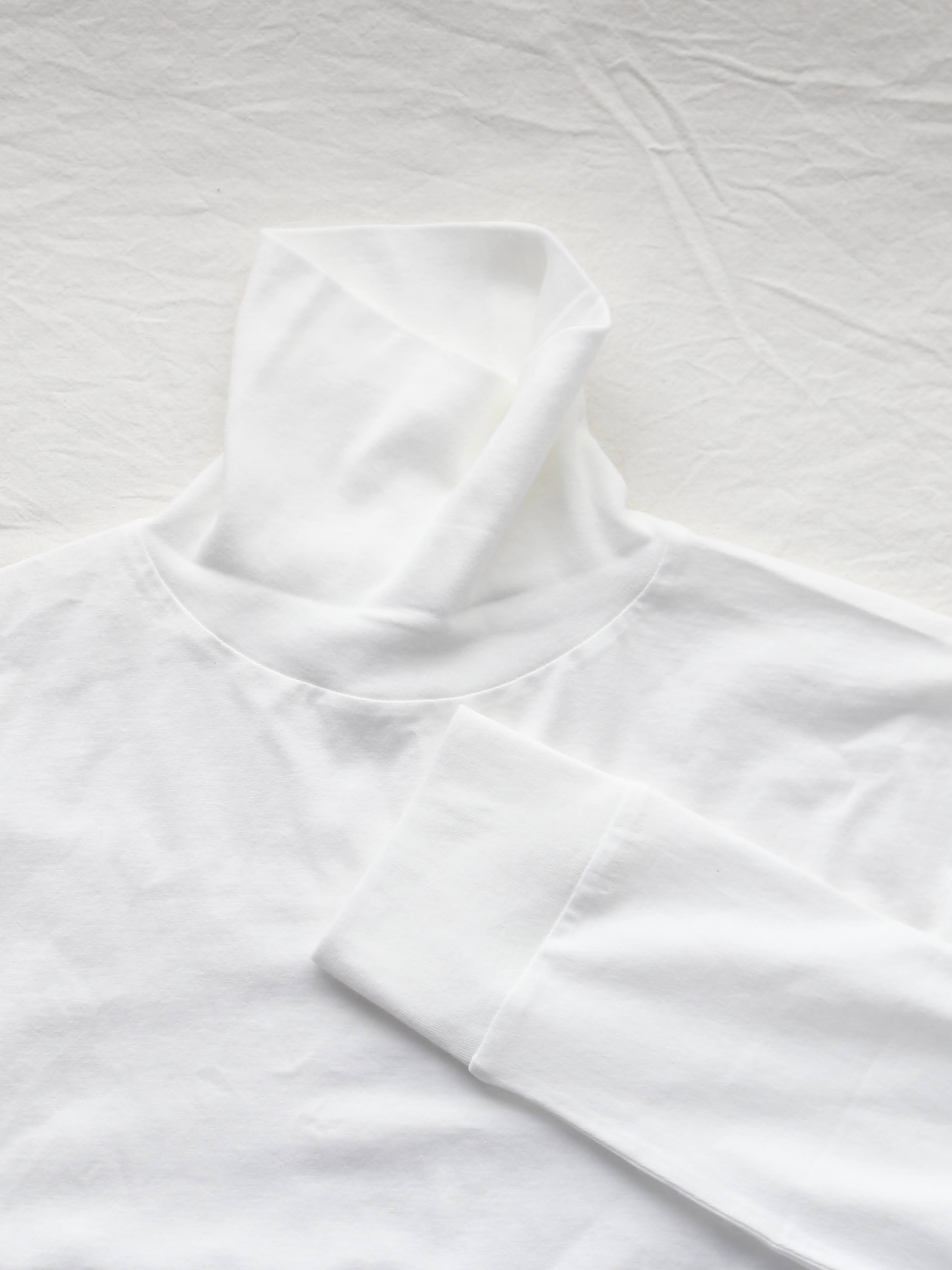 ALWEL ロングスリーブロールネックT [DM-11]