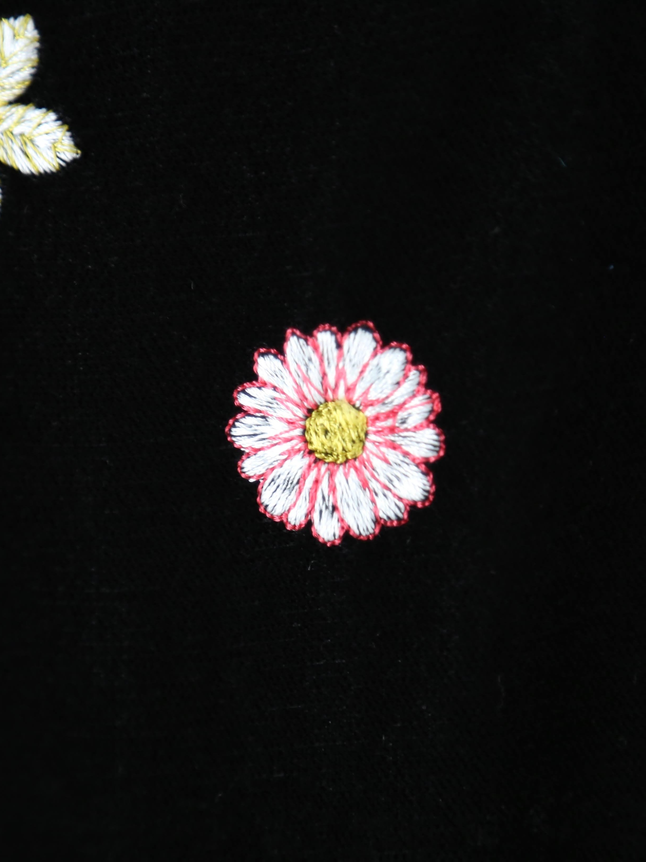 tao エステルベルベット刺繍パンツ [TP-P007-051]