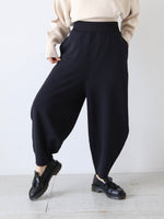 Load image into Gallery viewer, ALWEL パンツ
