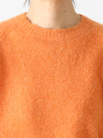 画像をギャラリービューアに読み込む, R&amp;D.M.Co- 両面起毛プルオーバー [5893]
