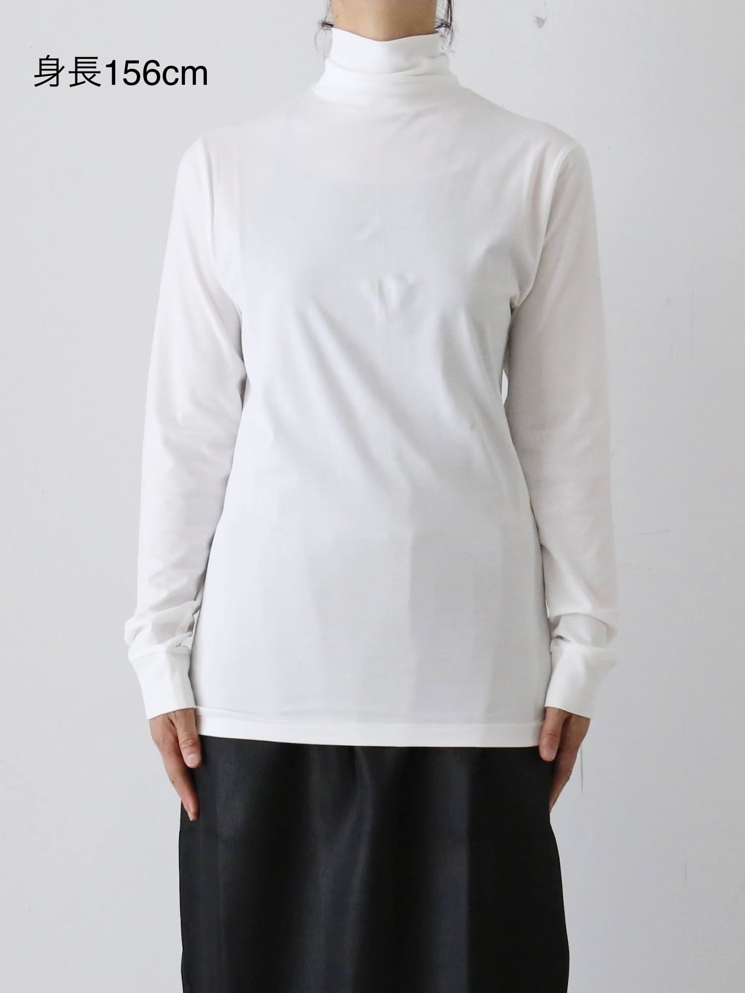 ALWEL ロングスリーブロールネックT [DM-11]