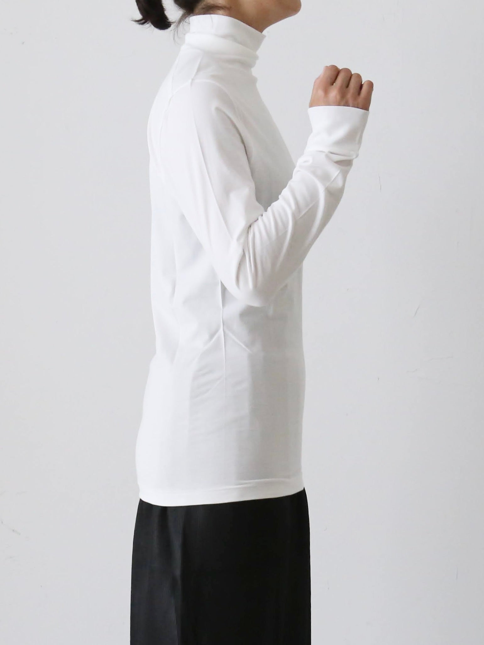 ALWEL ロングスリーブロールネックT [DM-11]