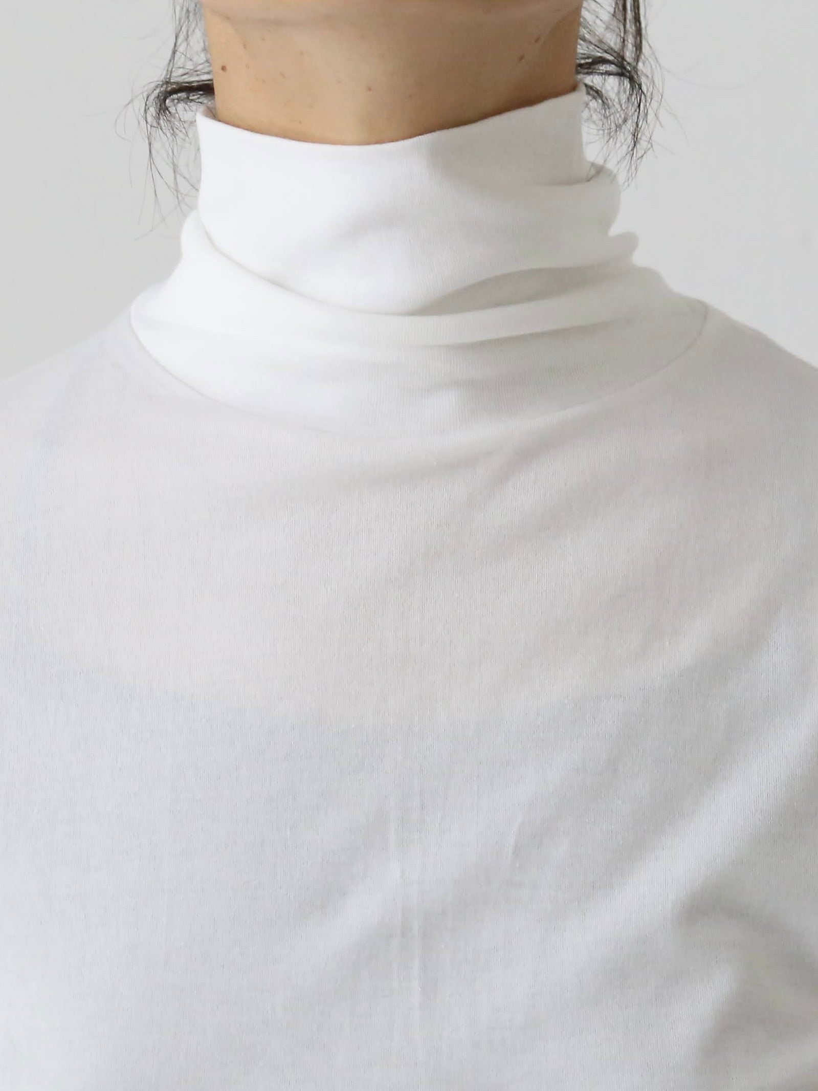 ALWEL ロングスリーブロールネックT [DM-11]